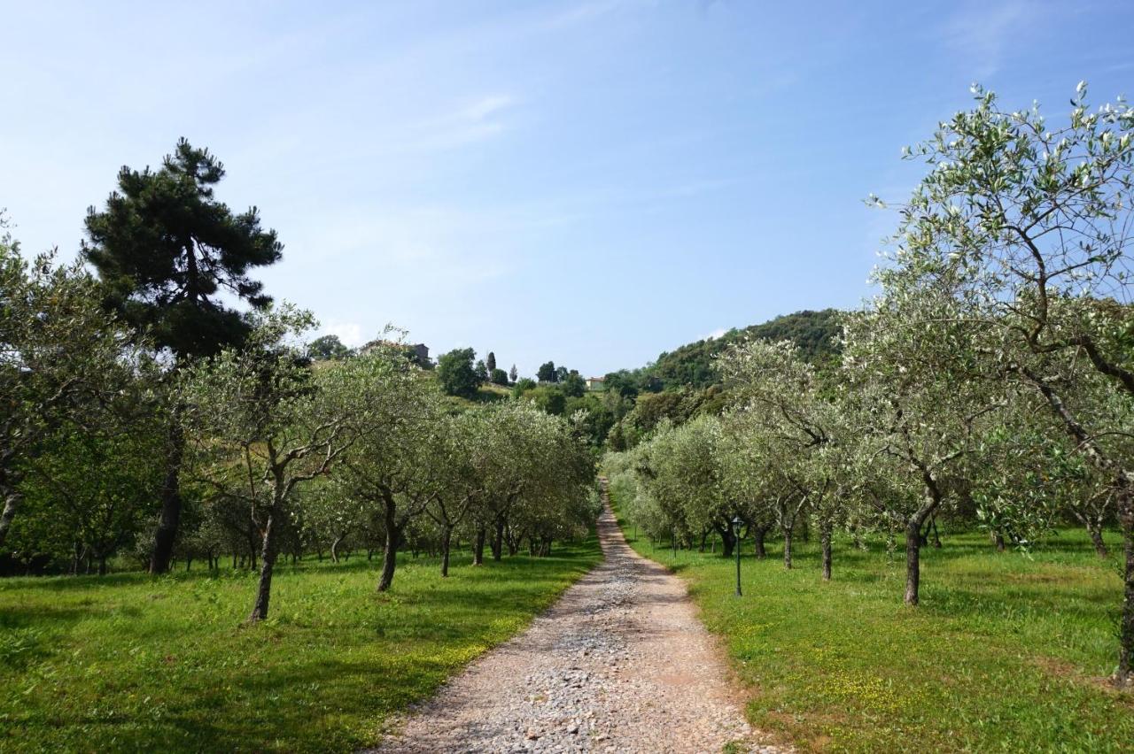 Agriturismo Le Vallilunghe Διαμέρισμα Λούκα Εξωτερικό φωτογραφία