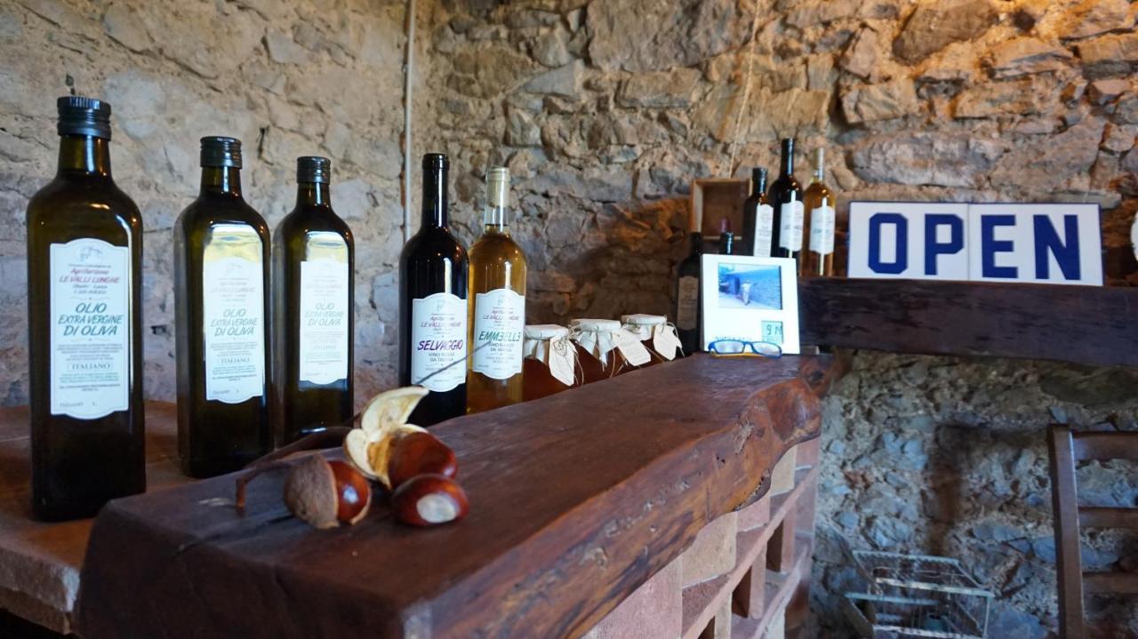 Agriturismo Le Vallilunghe Διαμέρισμα Λούκα Εξωτερικό φωτογραφία