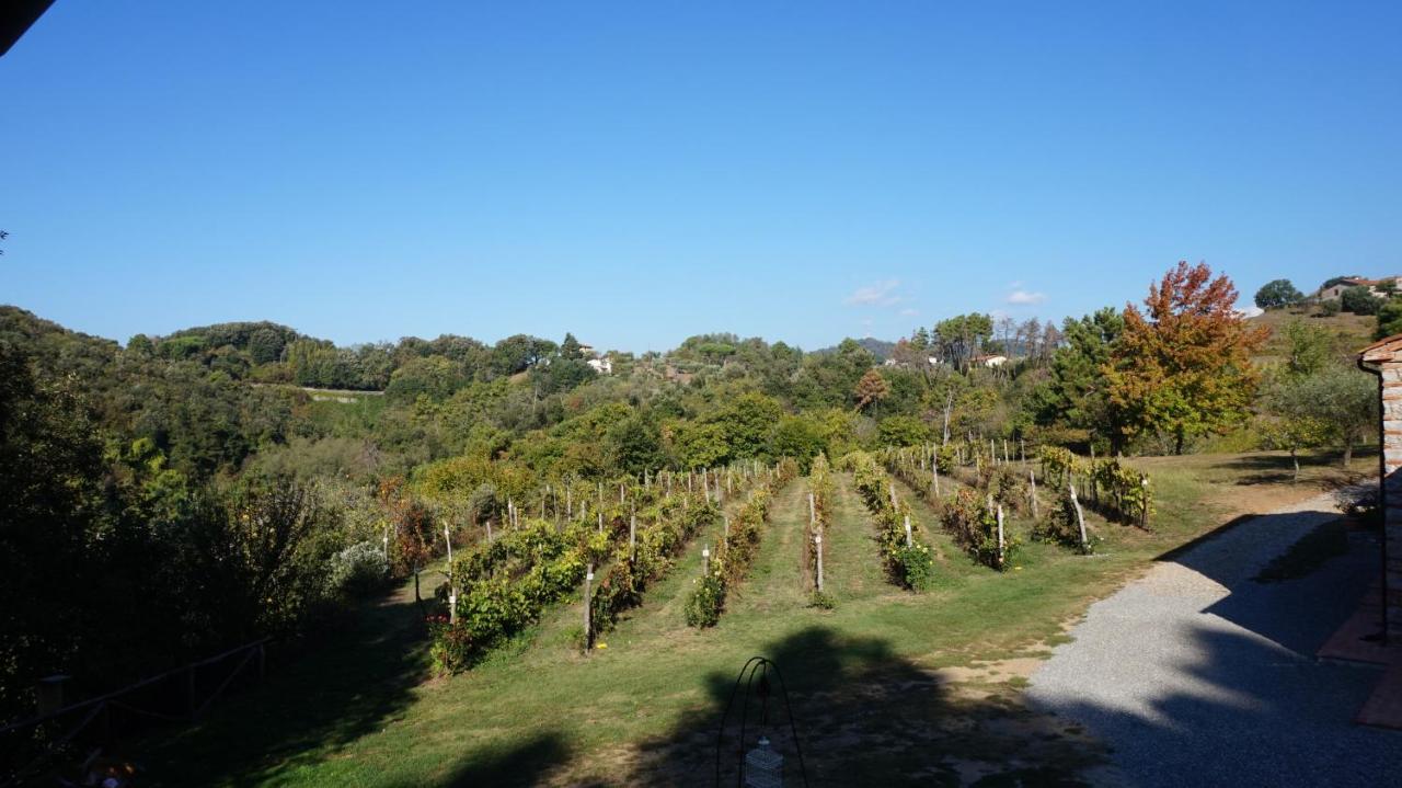 Agriturismo Le Vallilunghe Διαμέρισμα Λούκα Εξωτερικό φωτογραφία