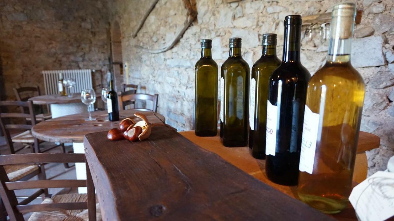 Agriturismo Le Vallilunghe Διαμέρισμα Λούκα Εξωτερικό φωτογραφία